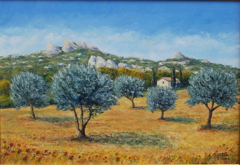 Les oliviers de ma colline